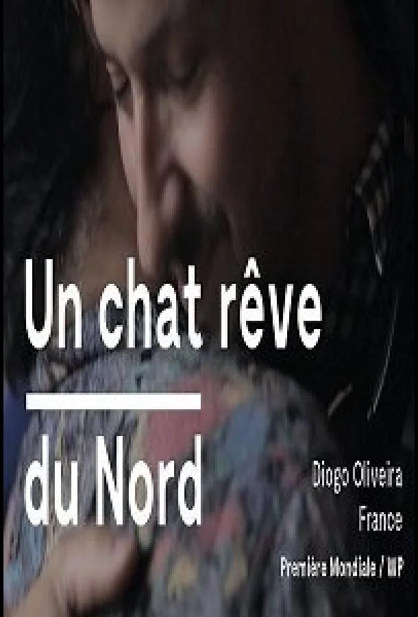 Кот, мечтающий о севере 2020 смотреть фильм онлайн